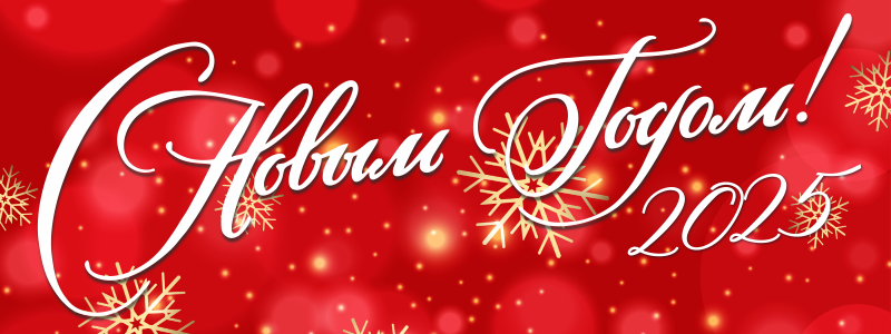 С Новым 2025 годом, друзья!